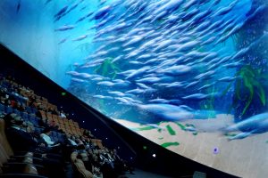 Domo D6 (2) (FILEminimizer)