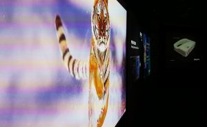 charmex-christie1-fileminimizer