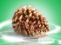 BUEN CINE EUROPEO Y ARGENTINO EN «PANTALLA PINAMAR»