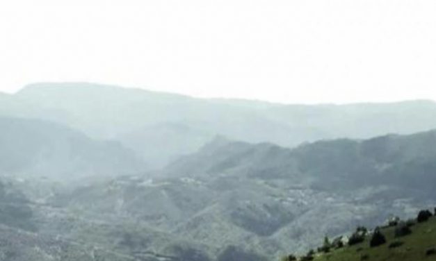 ELS ENCANTATS  (la loba y sus lobeznos)*