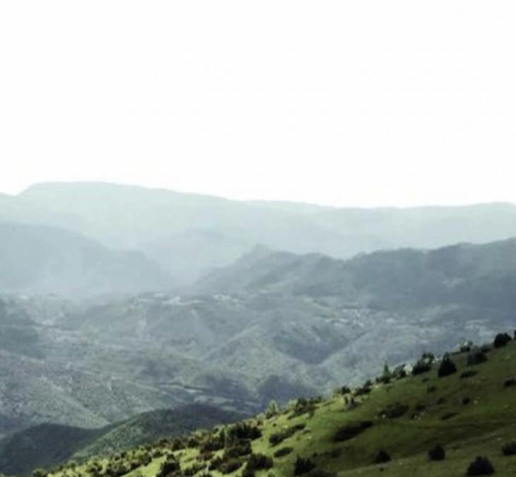 ELS ENCANTATS  (la loba y sus lobeznos)*