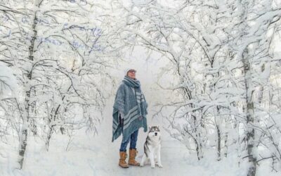 MAS TITULOS EN EL FESTIVAL DE MÁLAGA