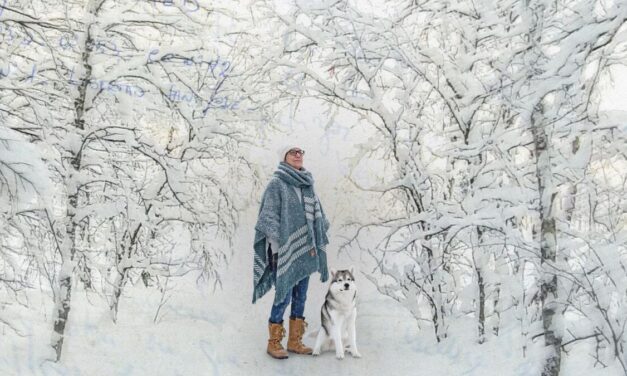 MAS TITULOS EN EL FESTIVAL DE MÁLAGA