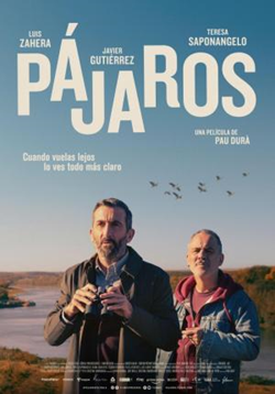 PAJAROS (Buscando su destino)