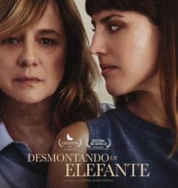 DESMONTANDO UN ELEFANTE