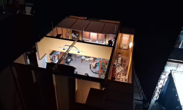 UNA PISTOLA, UNA BALA, UN OSO PANDA… Y UNA DESGRAVACIÓN