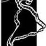 Foto del perfil de mostradelleida